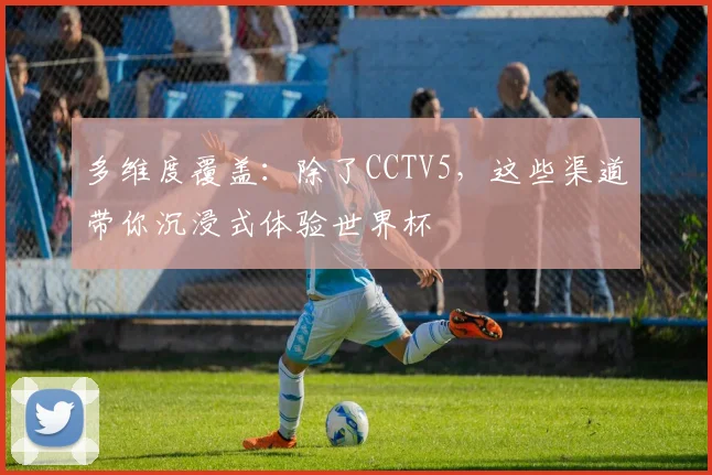 多维度覆盖：除了CCTV5，这些渠道带你沉浸式体验世界杯