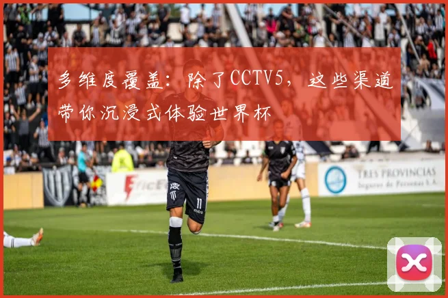 多维度覆盖：除了CCTV5，这些渠道带你沉浸式体验世界杯