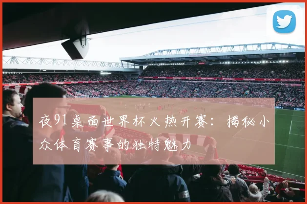 夜91桌面世界杯火热开赛：揭秘小众体育赛事的独特魅力